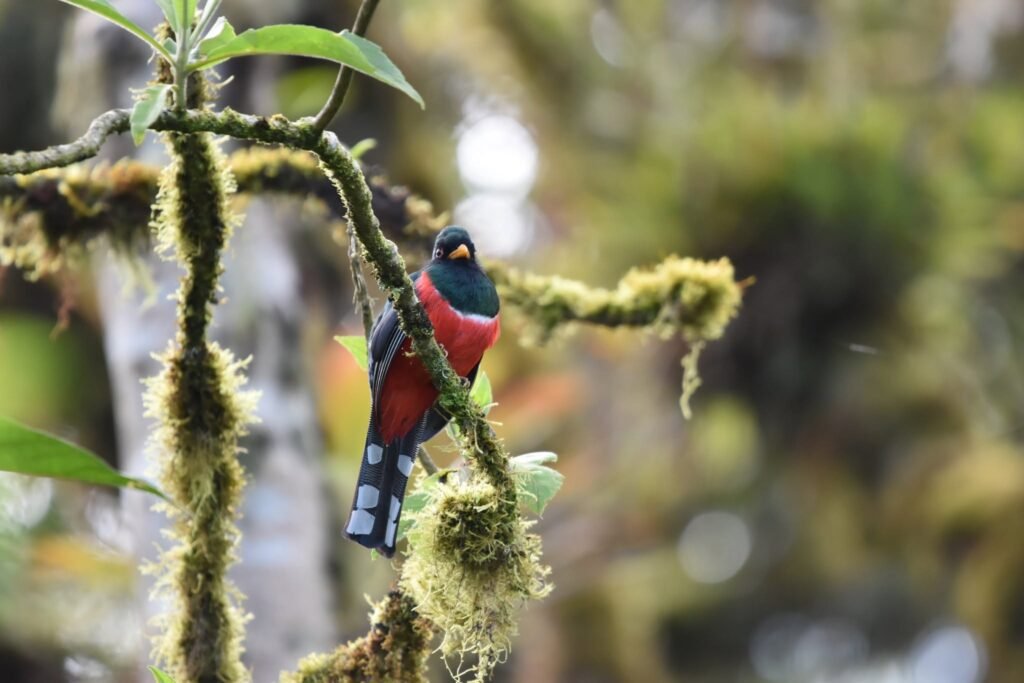 fb img 1761066950150